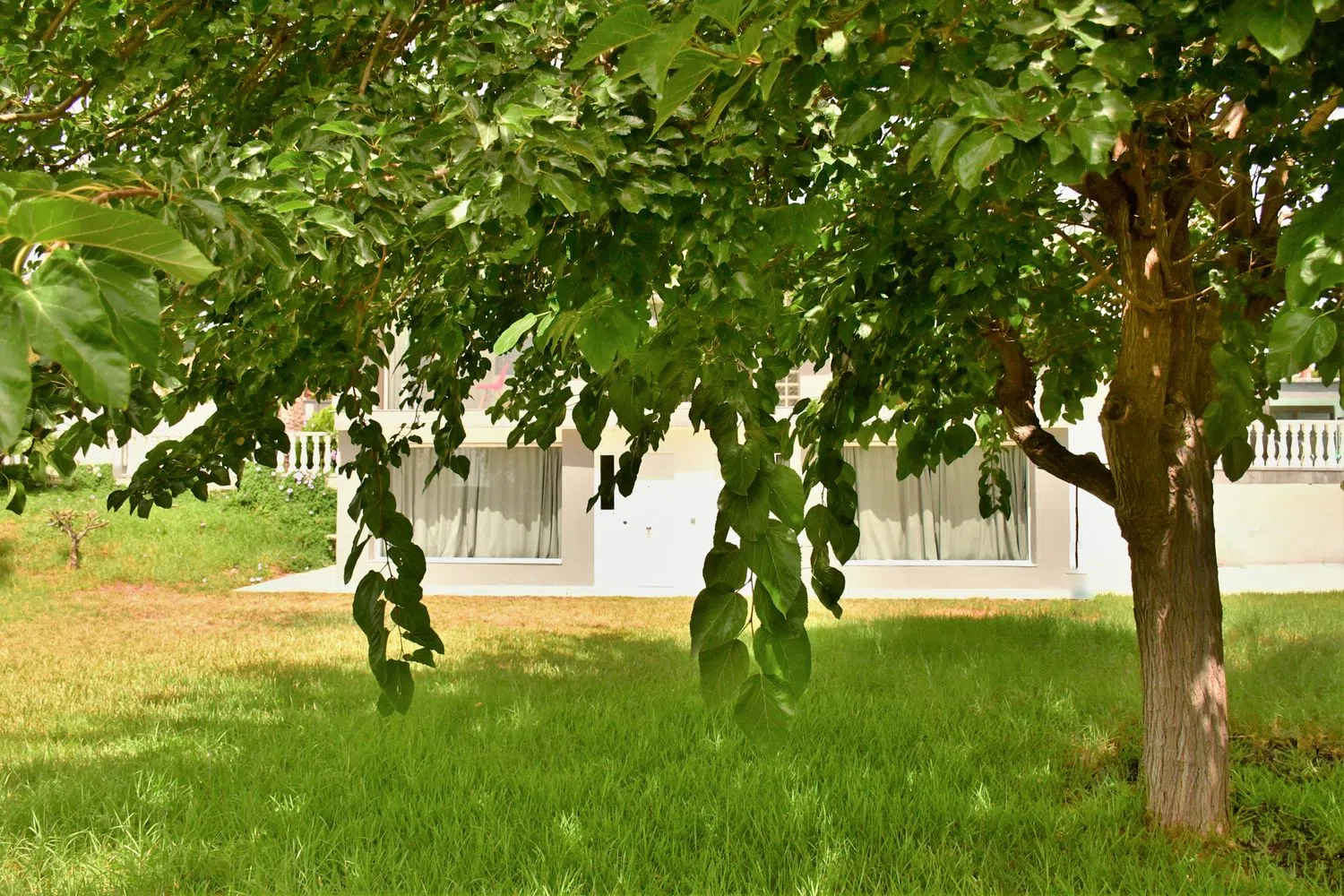 Estudio en Barrio Valle del Sol - El Portel - Foto 11