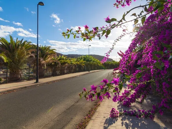Casa o chalet independiente en Calle Escocia, 7, Tauro-Playa del Cura, Tauro-Playa del Cura - Foto 40