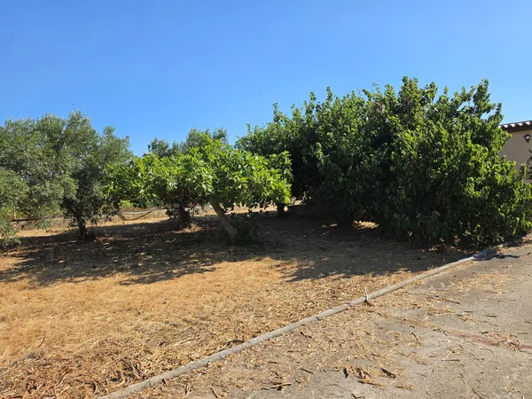 Finca rústica en Vereda de la Tarde, 3, Núcleo Urbano, Núcleo Urbano - Foto 19