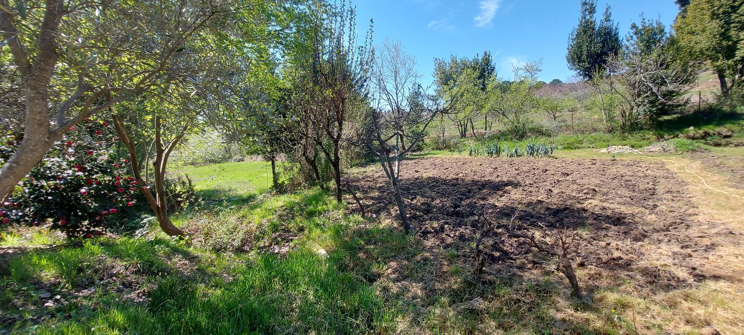Casa o chalet independiente en Carretera Forestal de la Pregonera, 924 Av - Foto 12
