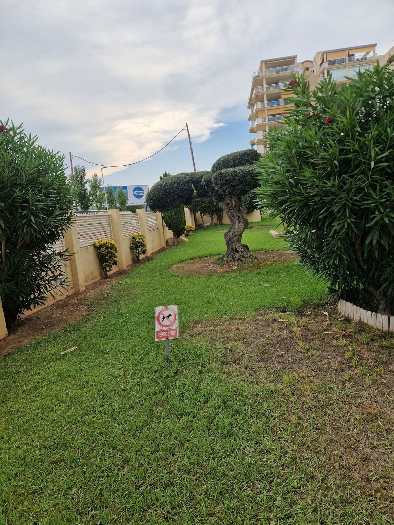 Piso en Calle d' Alacant, 8, Playa norte, Playa norte - Foto 23