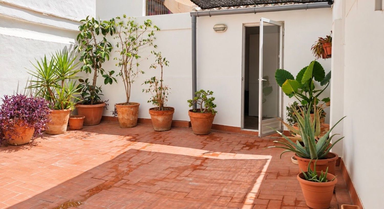 Estudio en Plaza Padre Fontova, 2, San Blas - Foto 8