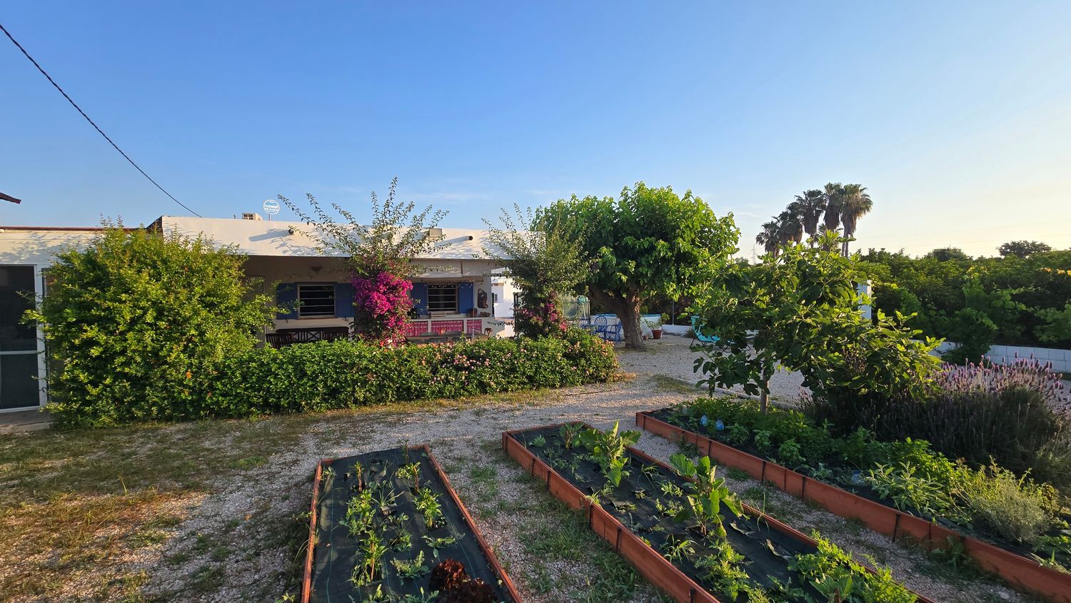 Casa o chalet independiente en Diseminado Poligono 3, 590 - Foto 36