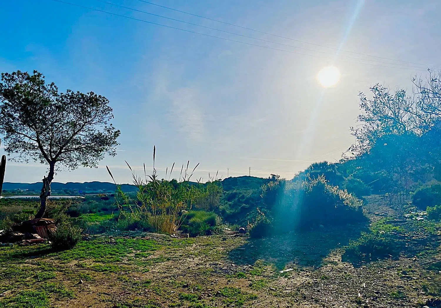 Finca rústica en camino Viejo de Saladas, 2 - Foto 21