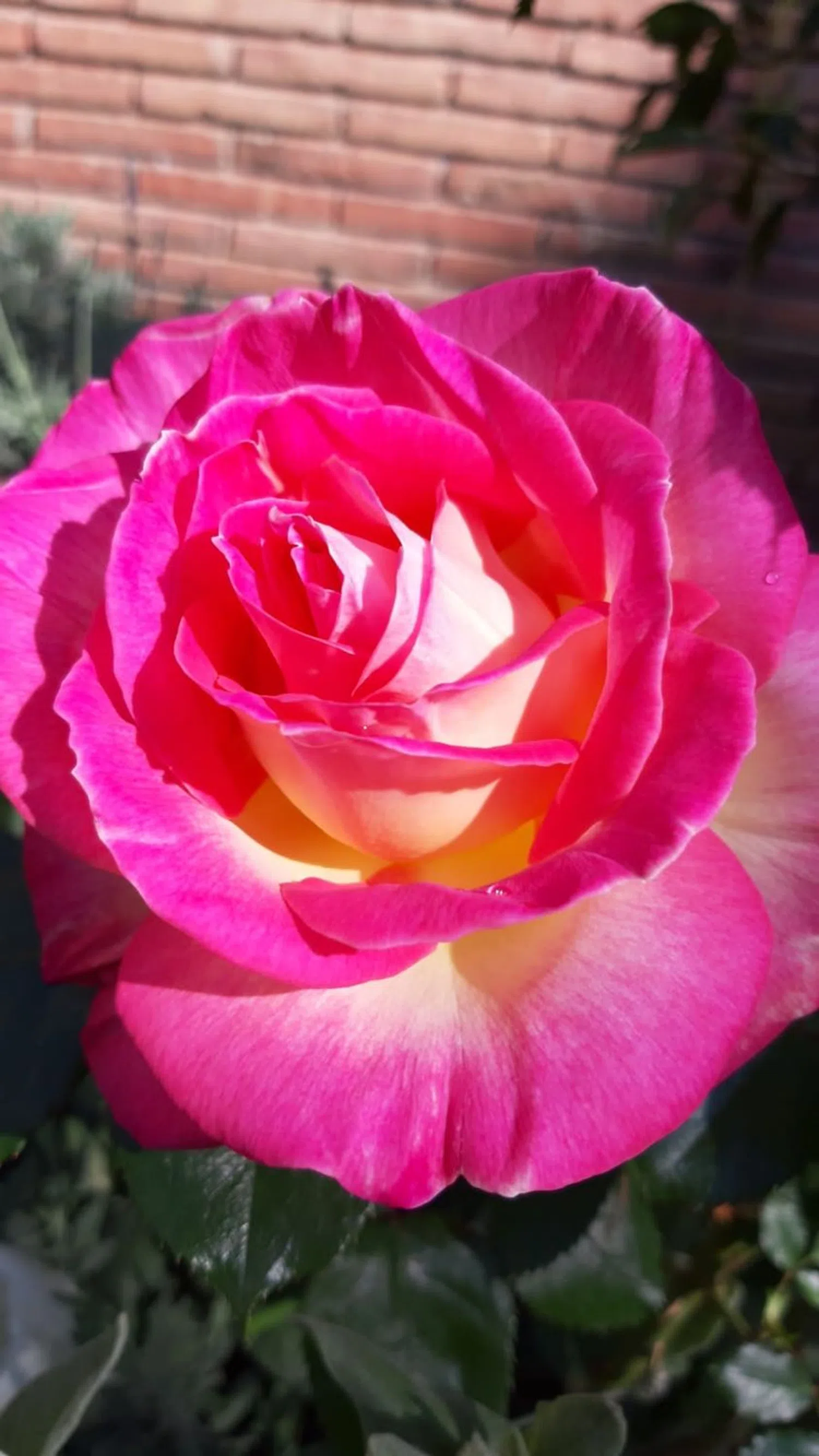 Dúplex en Passatge de Serrahima, 7 -11 - Foto 27