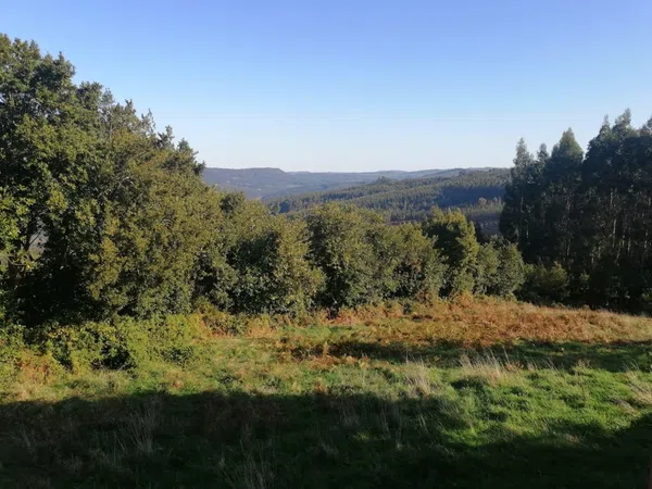 Casa de pueblo en Couce da Fraga s/n - Foto 6