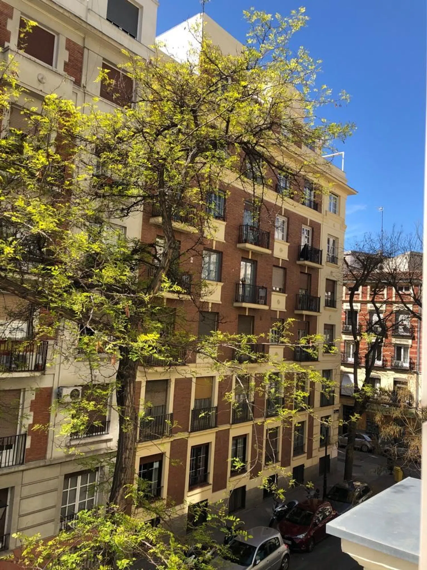 Piso en calle de Nicasio Gallego, 3 - Foto 8