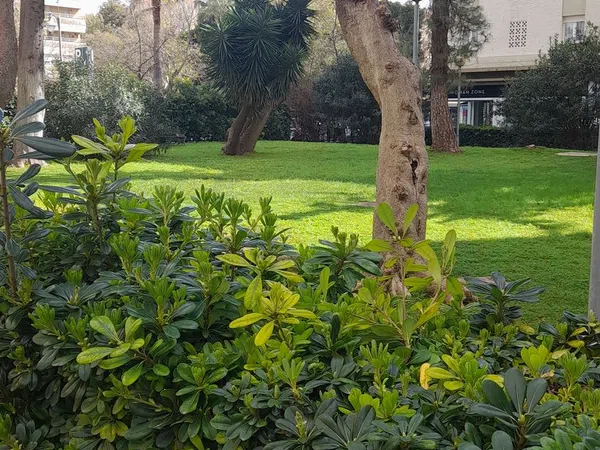 Piso en plaza del Caballo, 1 - Foto 25