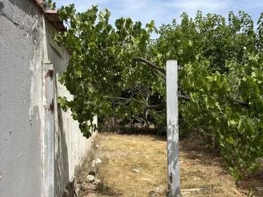 Finca rústica en  Carrer d'Honorat Gil 10 - Foto 7