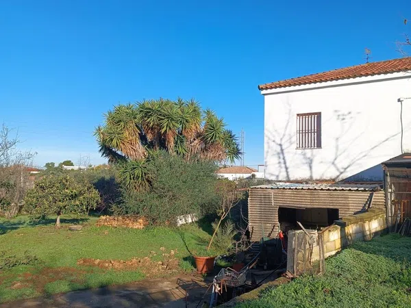 Finca rústica en Diseminados dirección a Puñanilla s/n - Foto 33