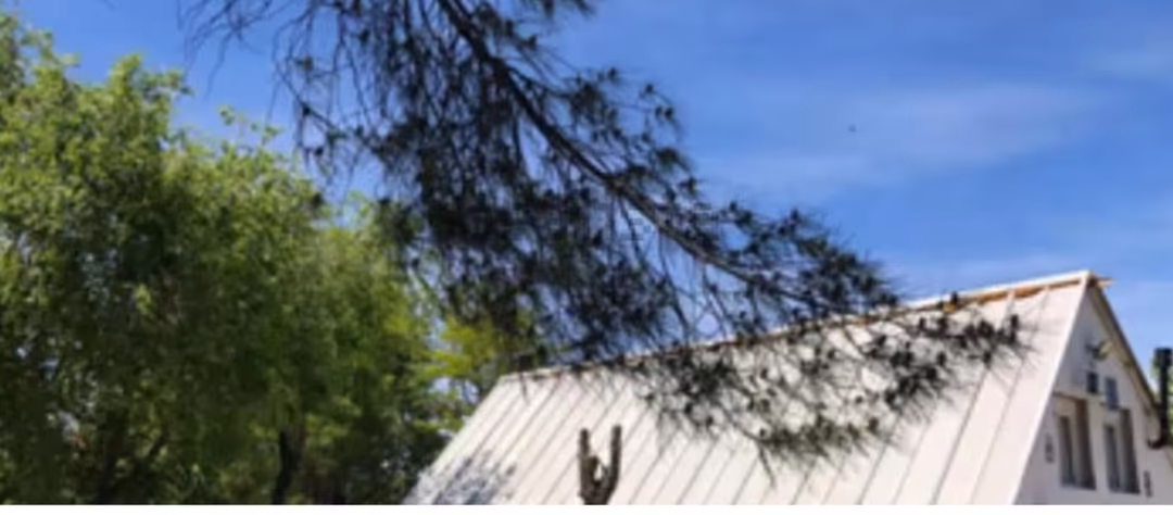 Finca rústica en  M-505 10 - Foto 2