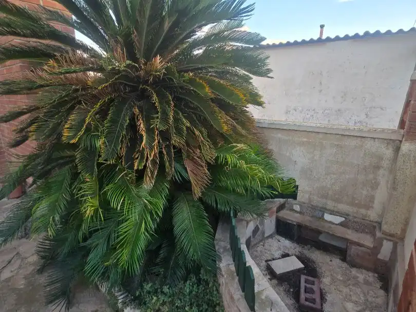 Chalet en  Carrer de Josep Porres Grau 8 - Foto 6
