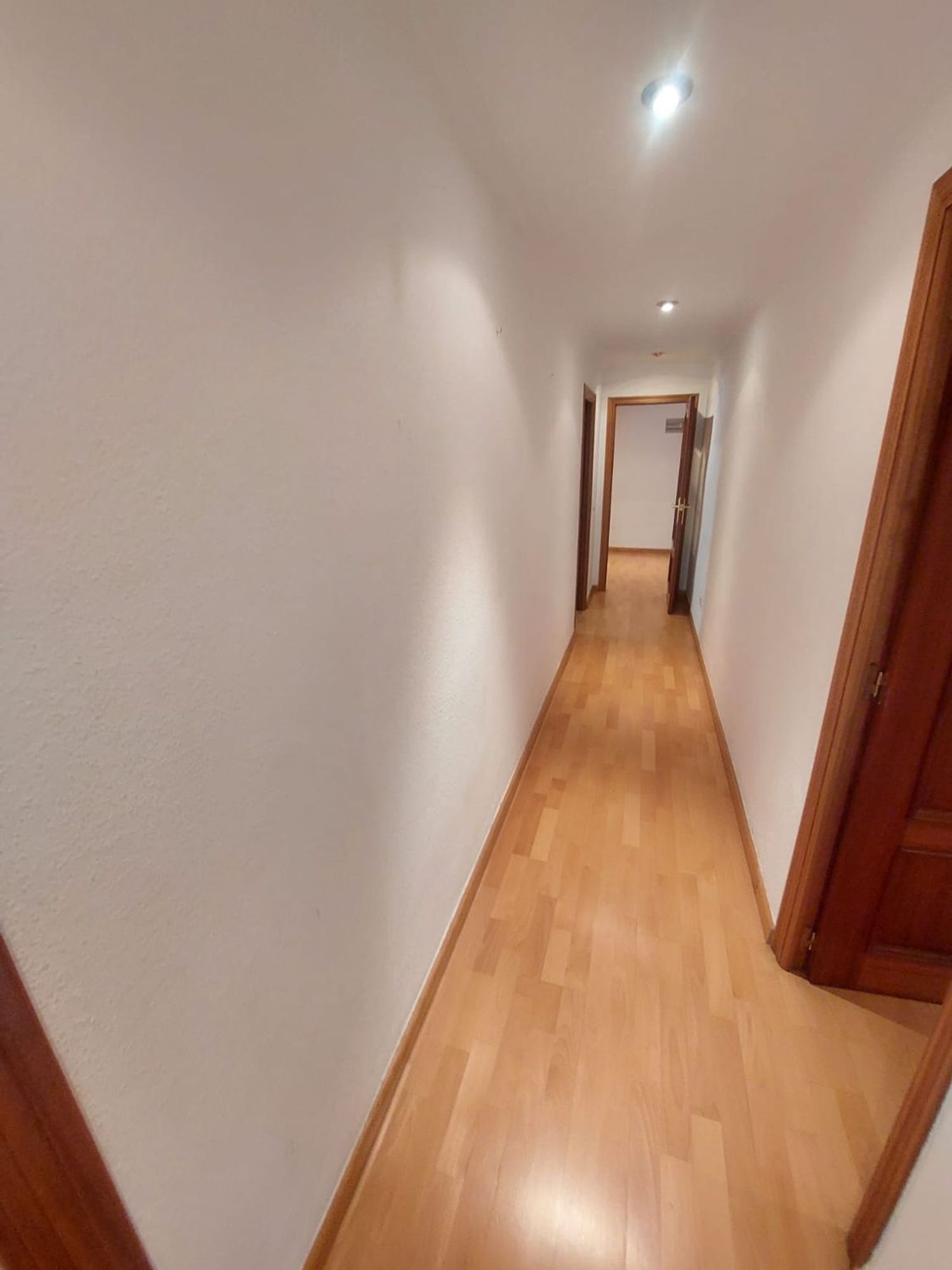 Piso en Calle Quinto Albio Horacio, 14, Centro - Foto 33
