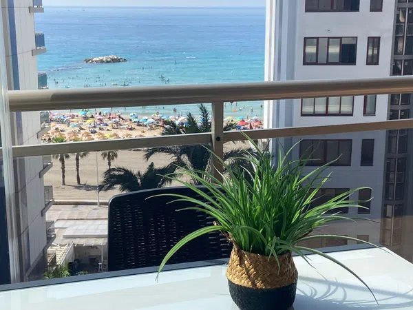 Piso en Avenida Europa, 6, Playa Arenal-Bol, Playa Arenal-Bol - Foto 11