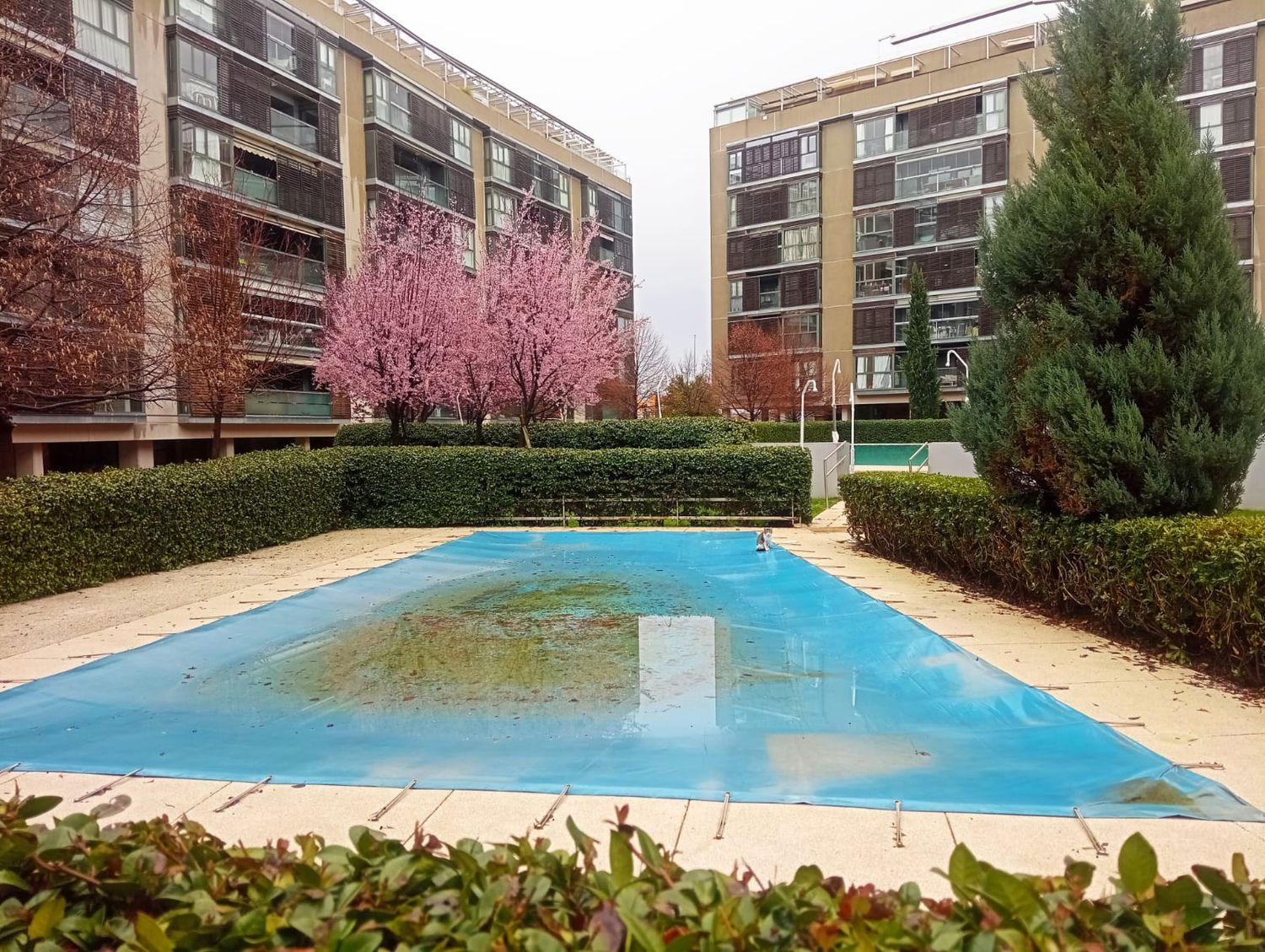 Piso en avenida del Camino de Santiago, 45 - Foto 7