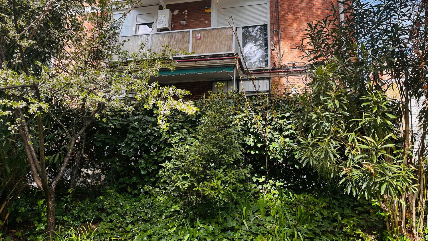 Piso en plaza Ortigosa, 4 - Foto 3