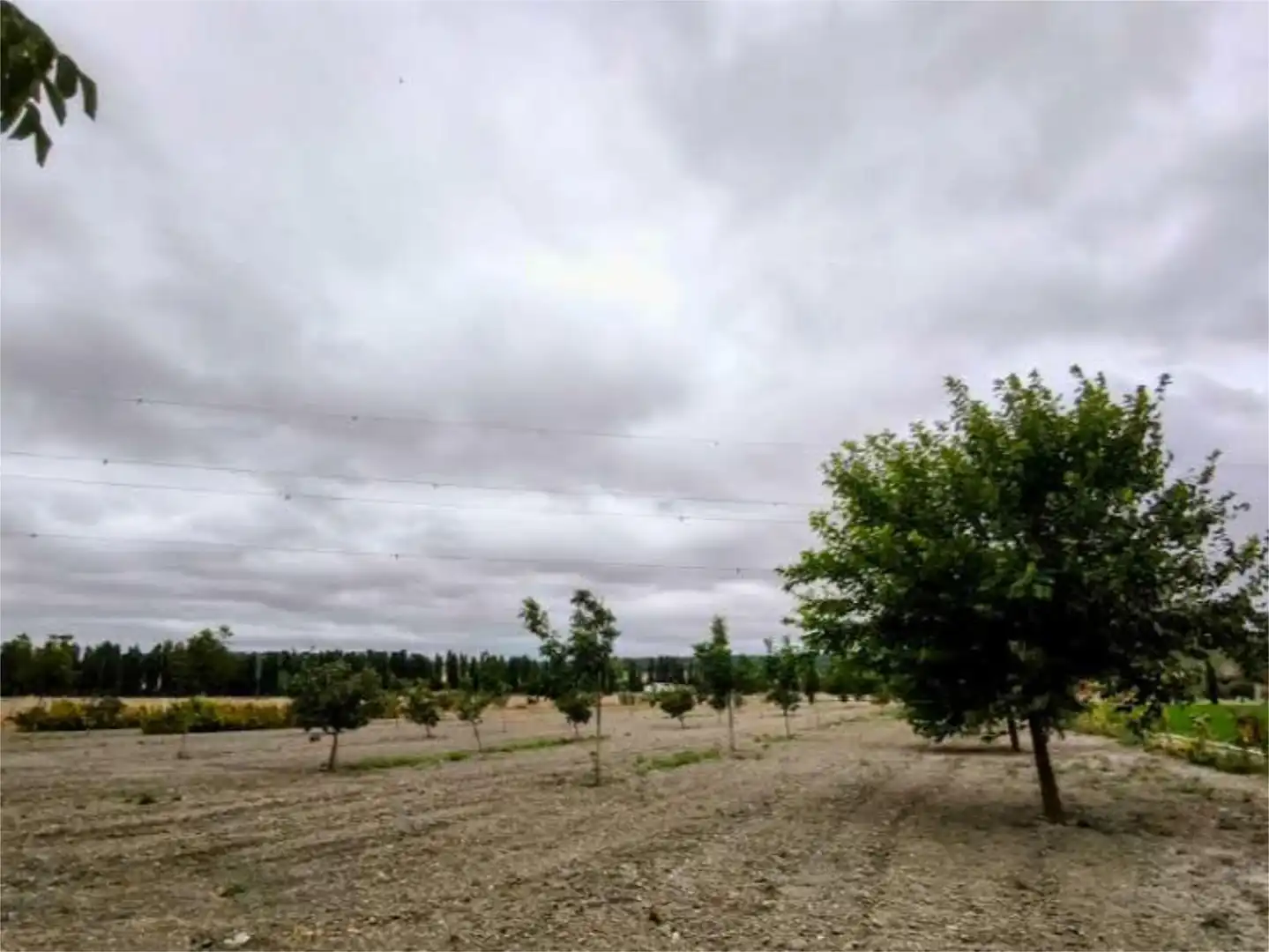 Finca rústica en  Calle de Villabañez 185A - Foto 22