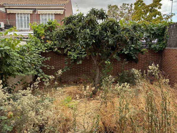 Chalet adosado en calle Pompeya, 2 - Foto 23