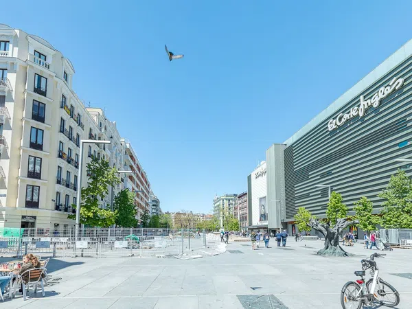 Dúplex en Calle de Ayala, 81, Goya - Foto 12