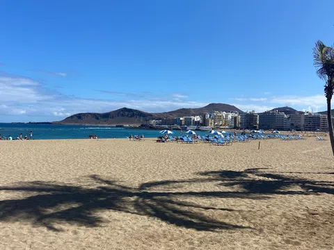 Estudio en calle secretario Artiles, 92 - Foto 7