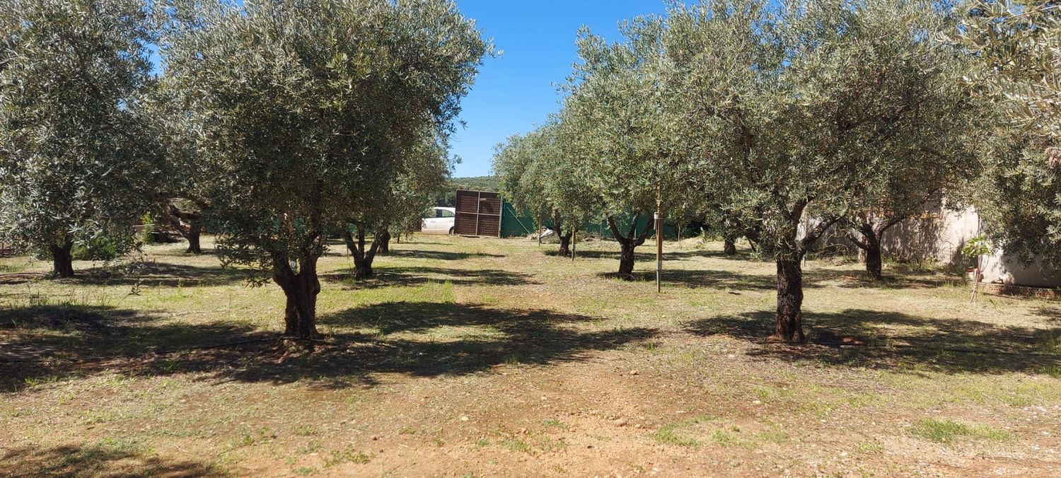 Casa rural en Calle los Nardos, 7 - Foto 4