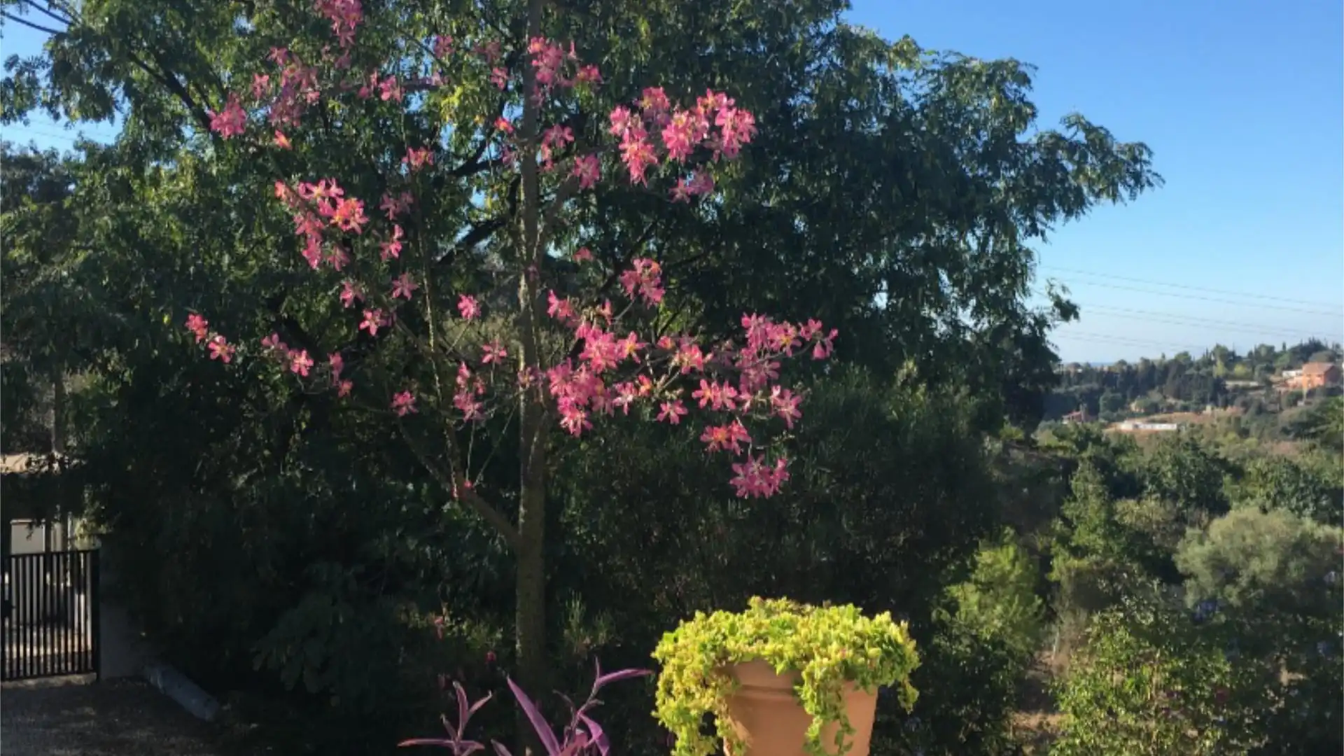 Chalet en  Calle de la Palmera 6 - Foto 37