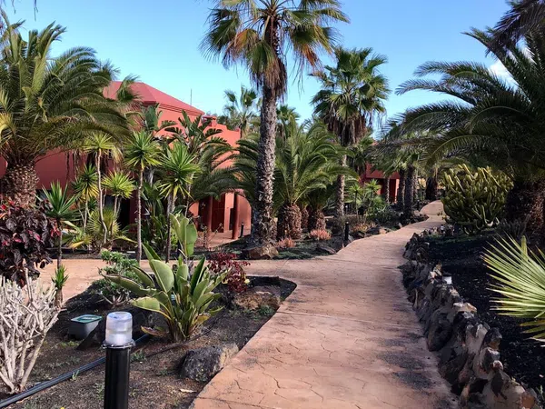 Estudio en Calle Guirre, 1, Corralejo, Corralejo - Foto 13