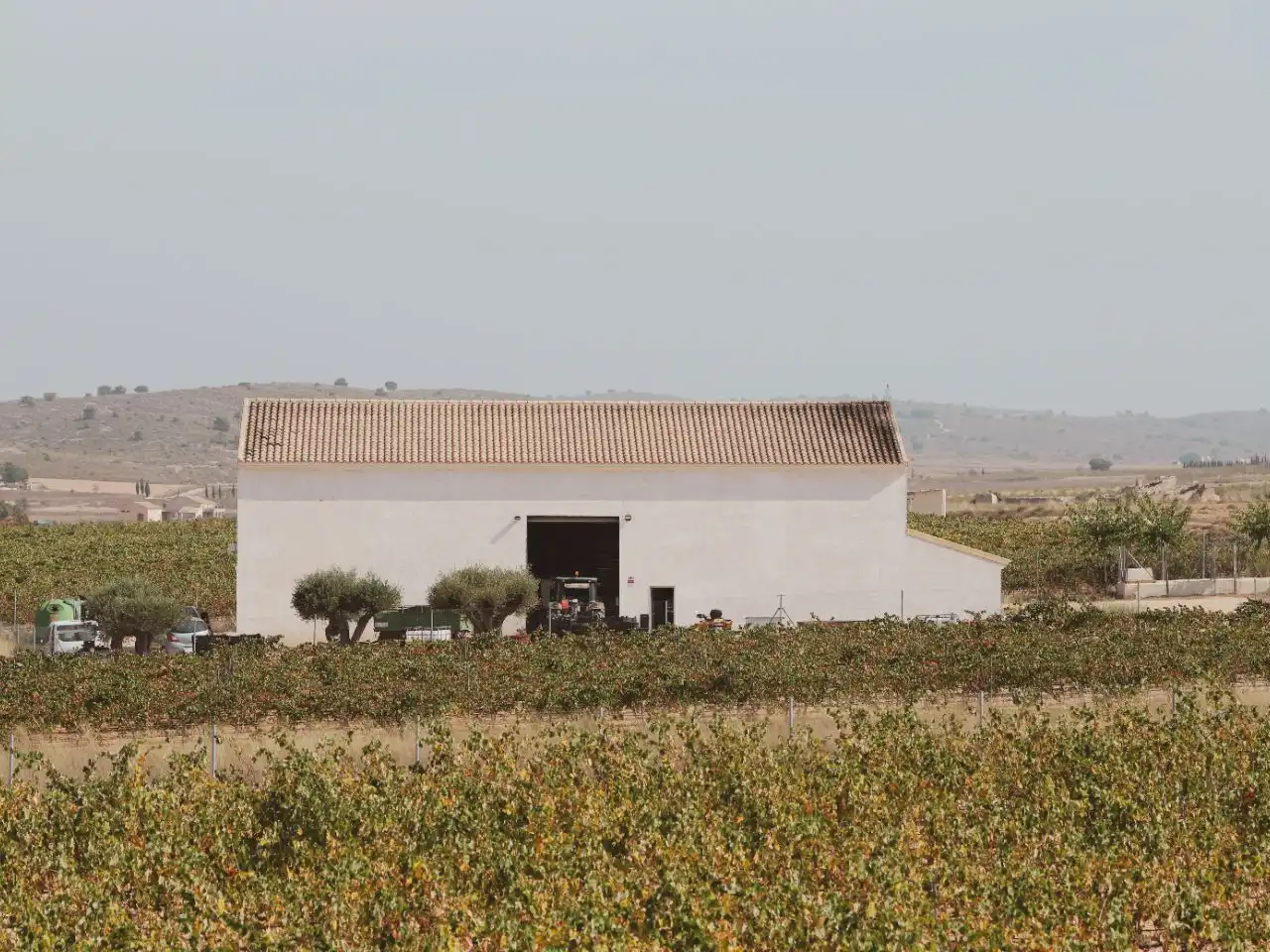 Finca rústica en  Calle del Vino 4 - Foto 29
