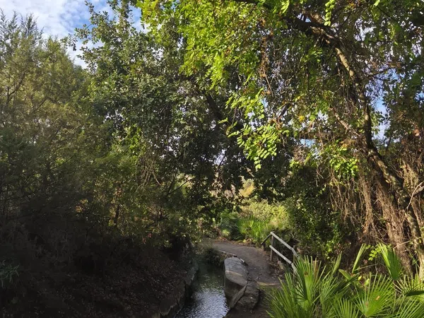 Piso en Urbanización Las Lomas, 14, Benahavís, Benahavís - Foto 23