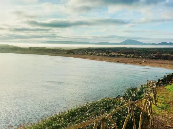 Piso en Carretera Cala Tirant, 1, Playas de Fornells, Playas de Fornells - Foto 10