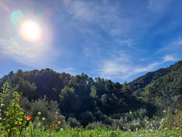 Casa rural en Camino Matilde polígono 9, 24 Parcela 24 - Foto 7