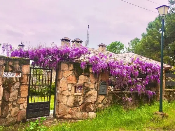 Casa o chalet independiente en Las Navas del Marqués - Foto 3