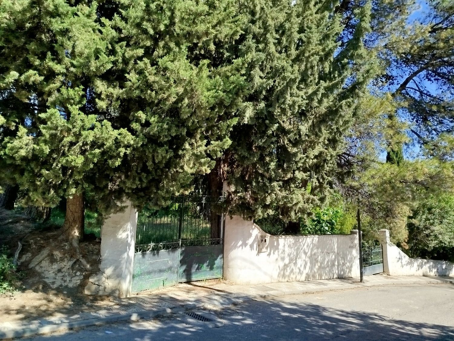 Casa de pueblo en Calle Carolina s/n - Foto 6