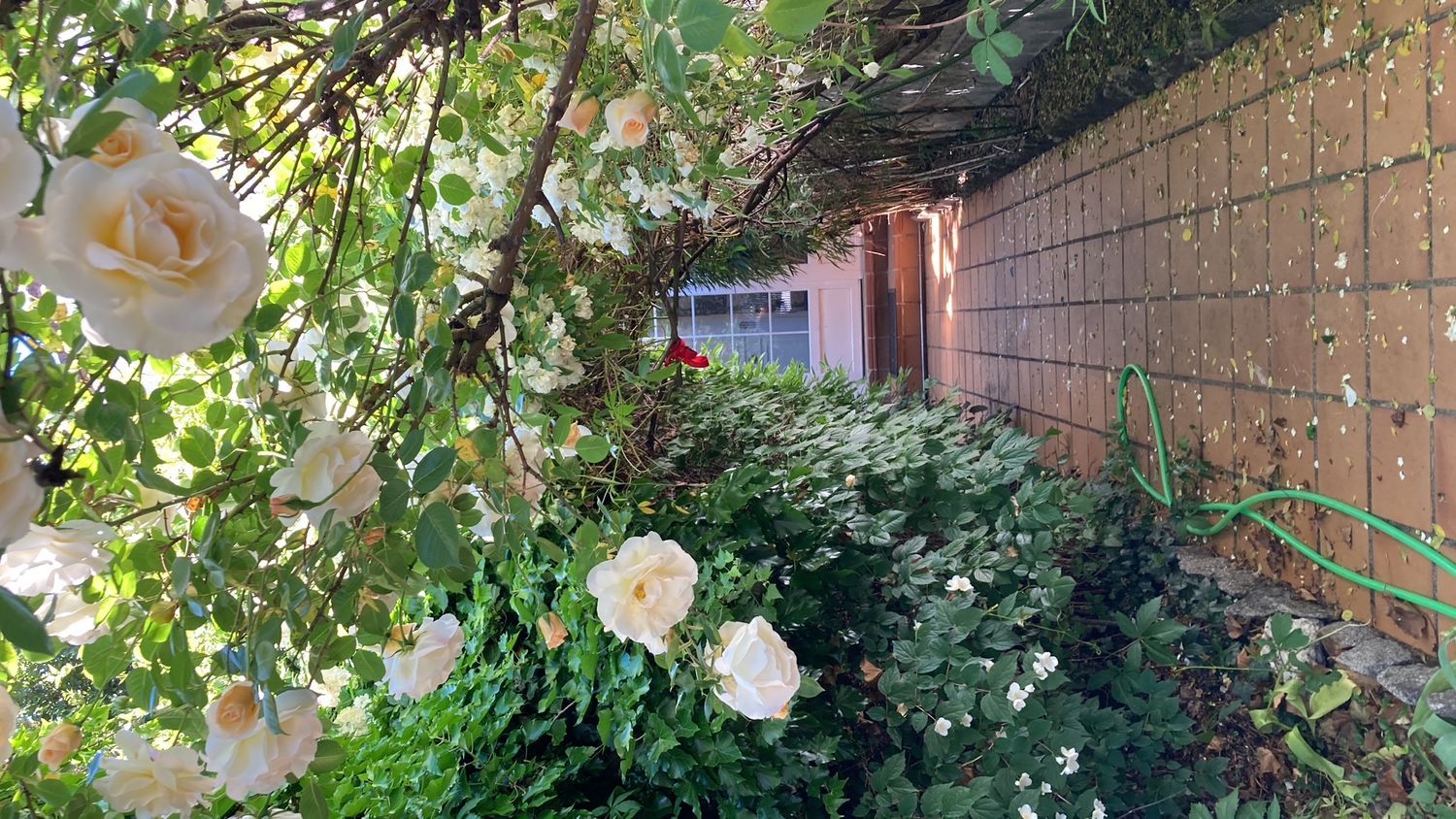 Chalet adosado en Alpedrete - Foto 33