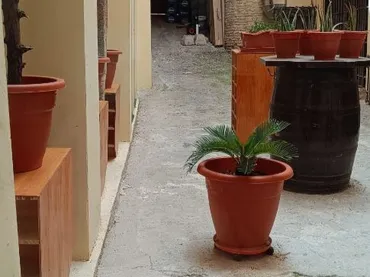 Apartamento en  Plaza San Agustín 1 - Foto 25