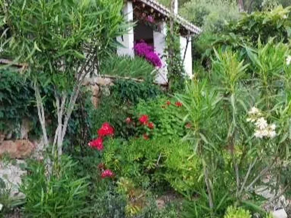 Casa o chalet independiente en Camino Fontana, 1 - Foto 29