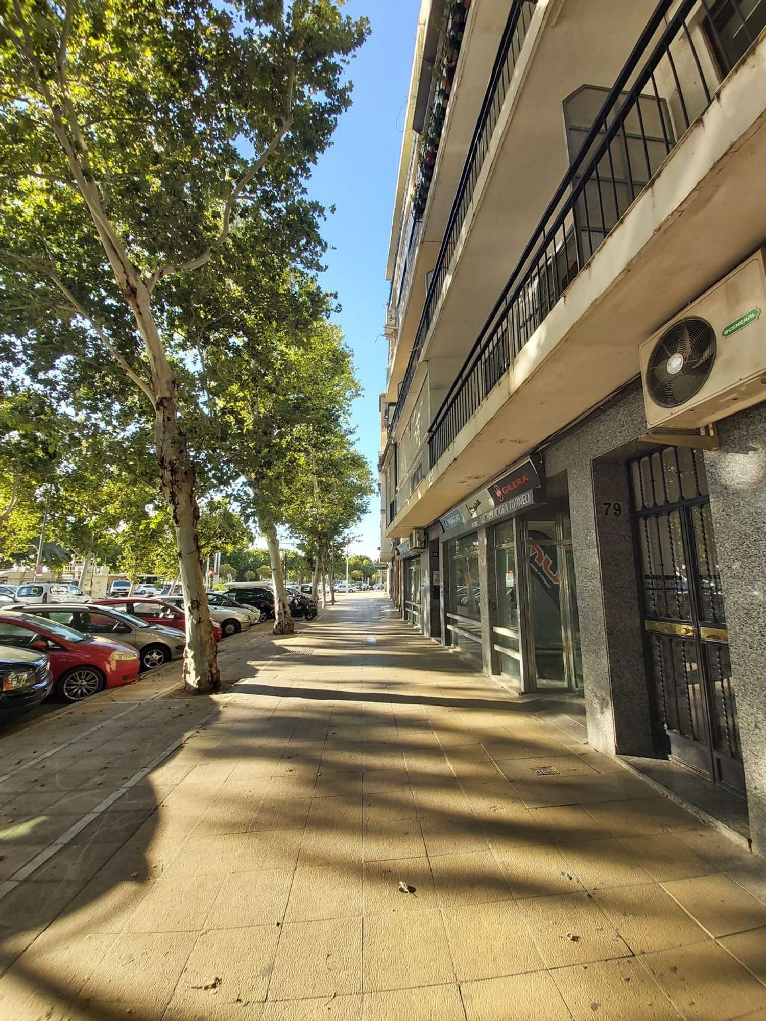 Piso en Calle Torneo, 79, San Vicente - Foto 4