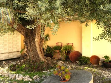 Chalet en  Carrer de Miguel Hernandez (Escritor) 2 - Foto 41