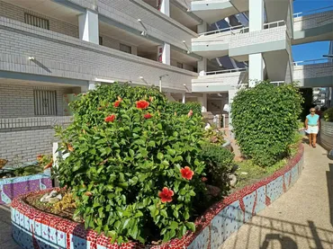Apartamento en  Avenida Central 12 - Foto 24