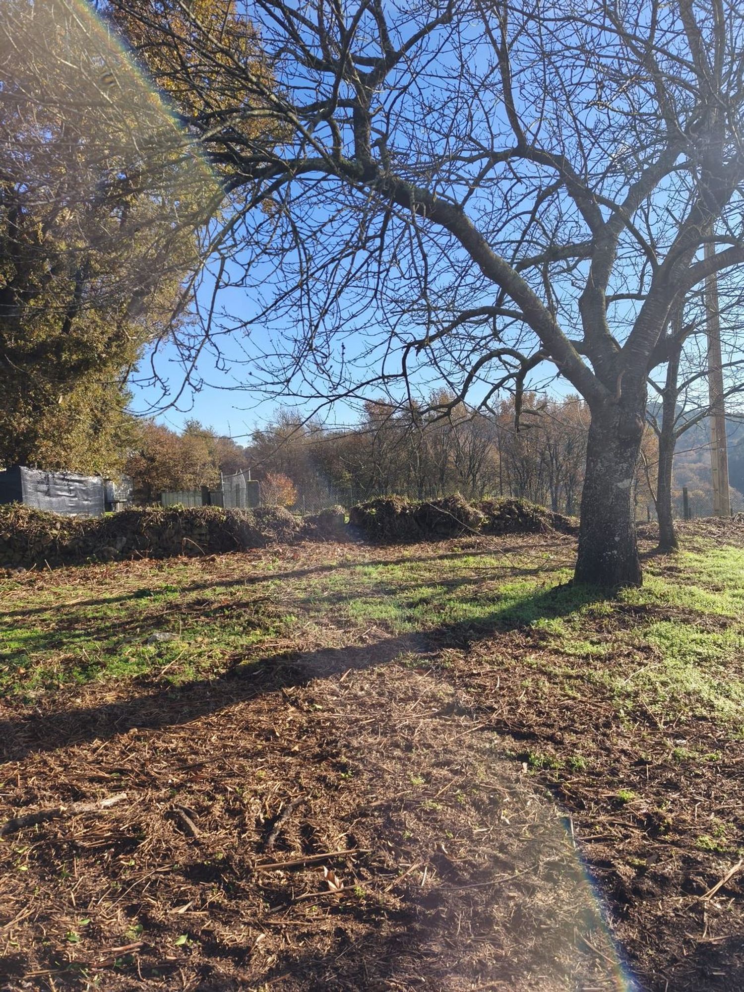 Casa rural en Vilaverde s/n - Foto 22
