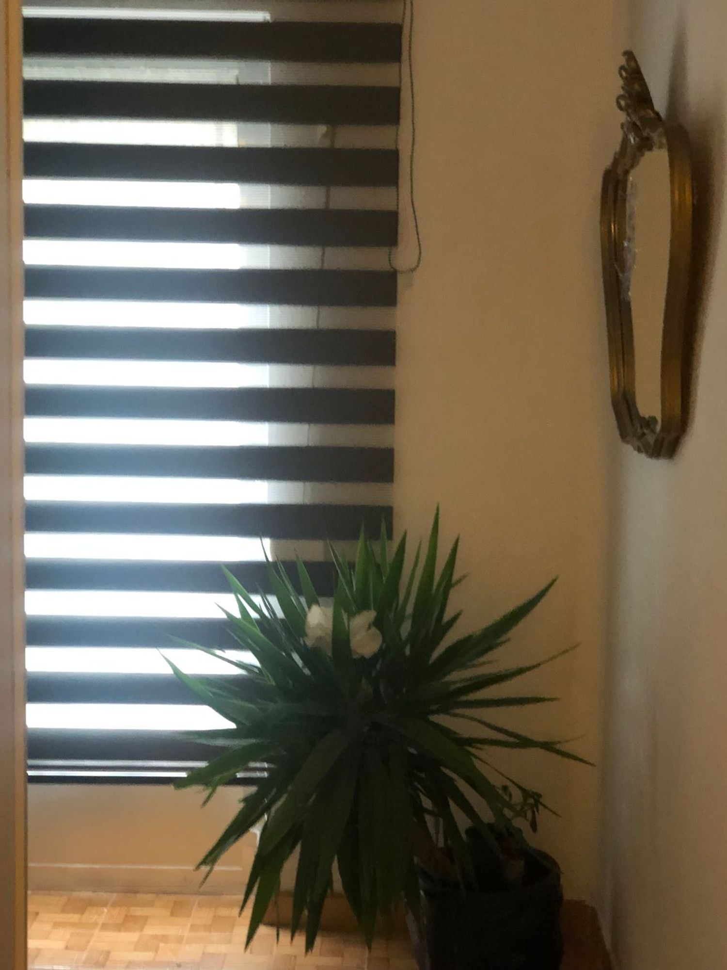 Piso en Calle Escultores, 5, Vidal, Vidal - Foto 7