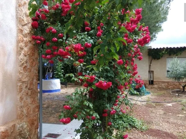 Finca rústica en Los Rubiales, 1 - Foto 28
