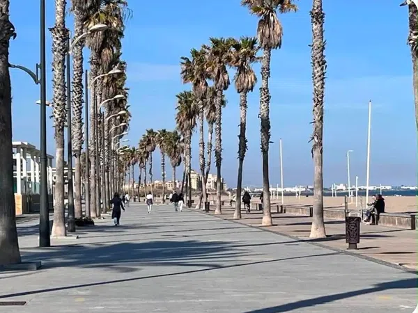 Piso en Paseo Marítim de la Patacona, 51, La Patacona, La Patacona - Foto 13