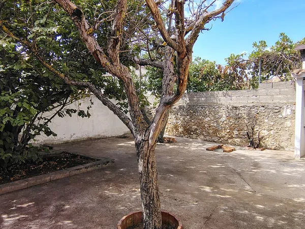 Casa o chalet independiente en Calle Medio, 11, Castralvo - Villaespesa - Aldehuela, Castralvo - Villaespesa - Aldehuela - Foto 25
