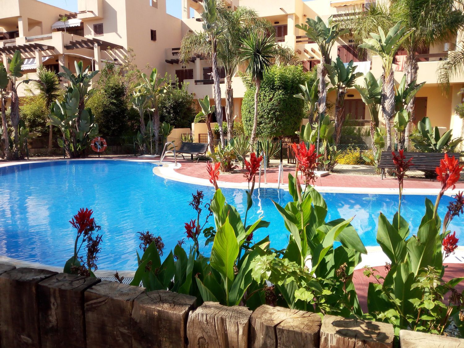 Piso en Arrayan, 4, Puerto Vera, Puerto Vera - Foto 14