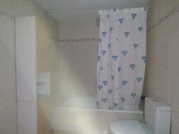 Piso en Calle Faustino Santalices, 17, Couto, Couto - Foto 28