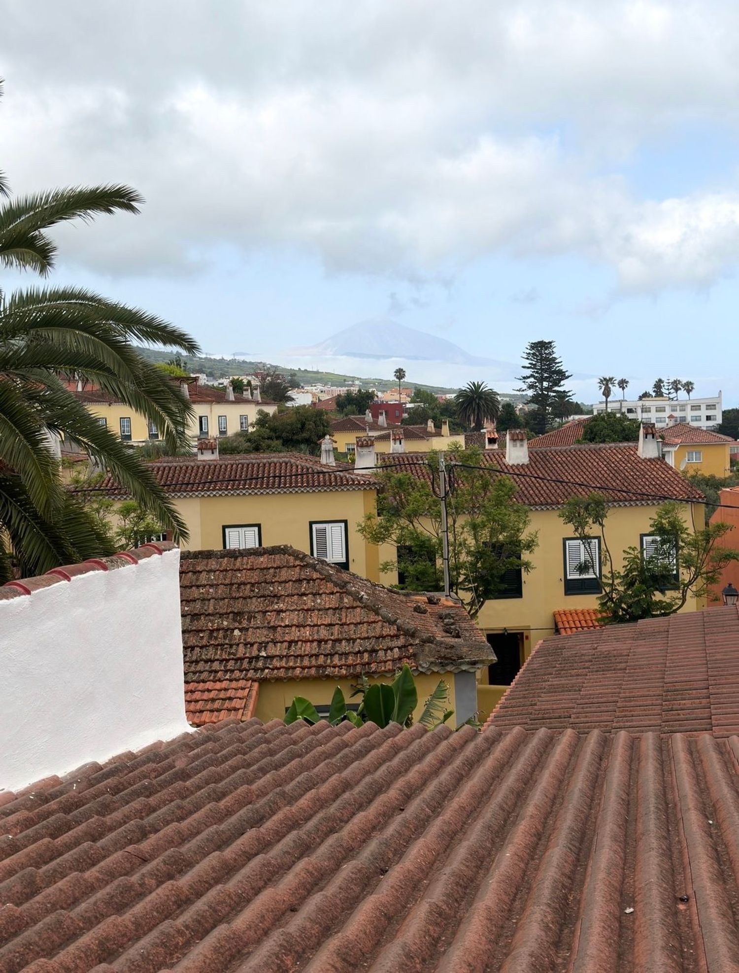 Casa o chalet independiente en Calle Valerio J. Padrón, 85, Tacoronte - Los Naranjeros, Tacoronte - Los Naranjeros - Foto 27