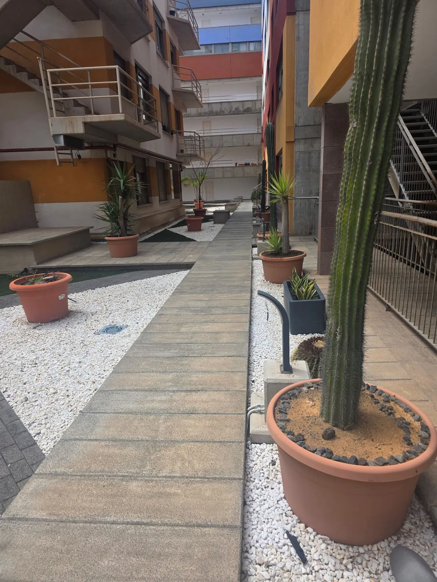 Piso en Luis Doreste Silva, 25 - Foto 4