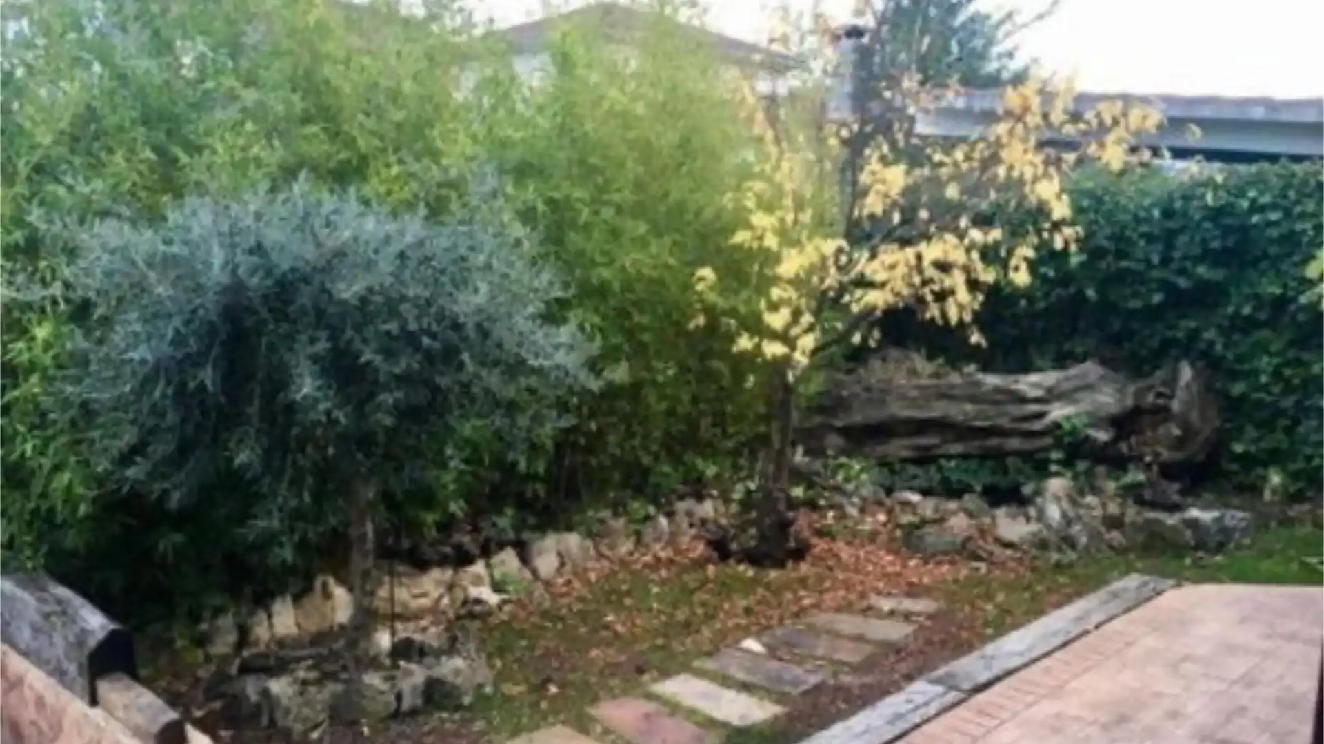 Chalet en  Calle Guadalcampo 61 - Foto 1