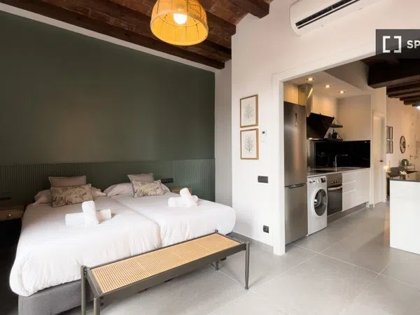 Estudio en Passatge de Mas de Roda, El Poblenou - Foto 16